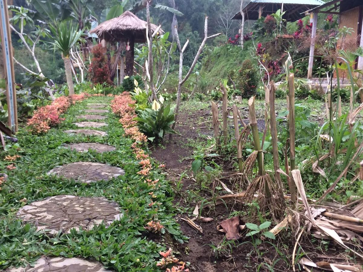 Apartamento Bali Tree House Pelangi Bedugul  Exterior foto