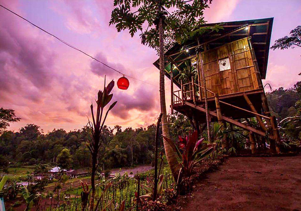 Apartamento Bali Tree House Pelangi Bedugul  Exterior foto