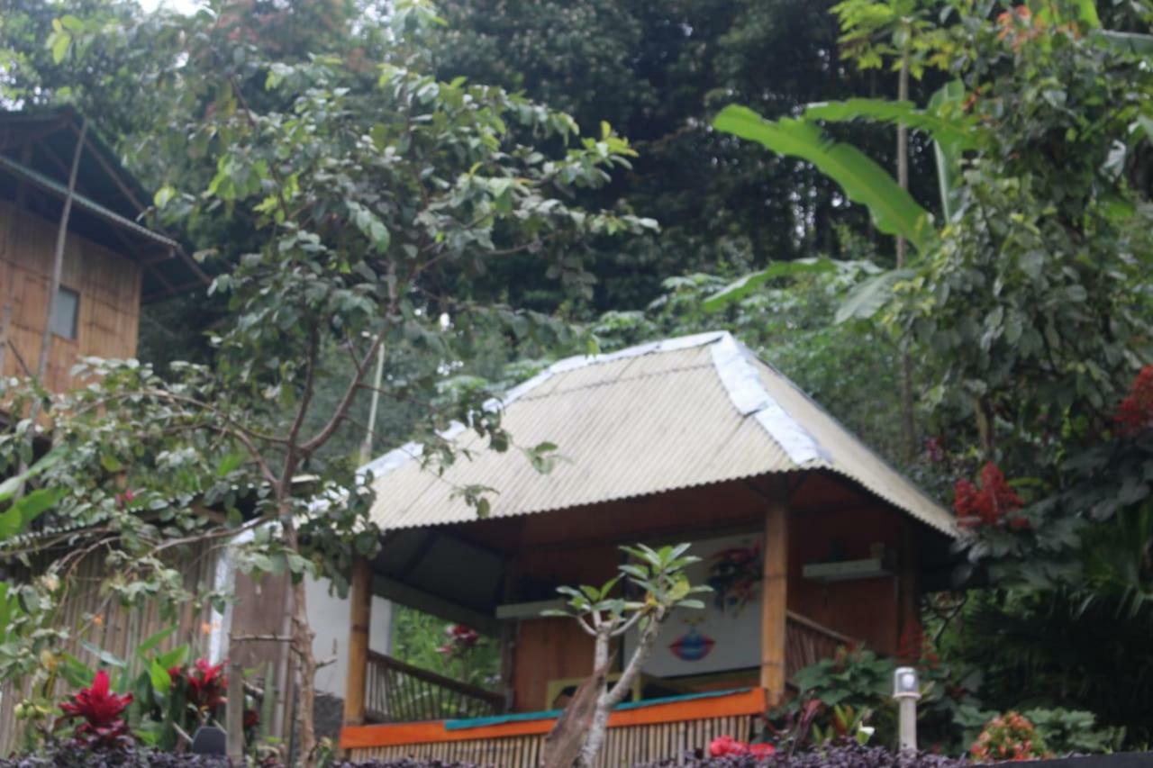 Apartamento Bali Tree House Pelangi Bedugul  Exterior foto