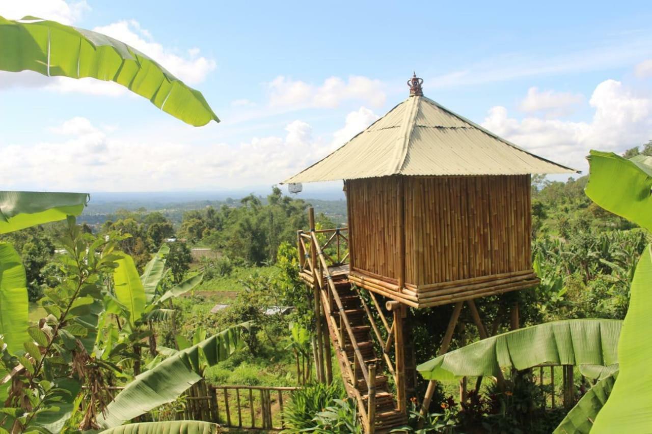 Apartamento Bali Tree House Pelangi Bedugul  Exterior foto