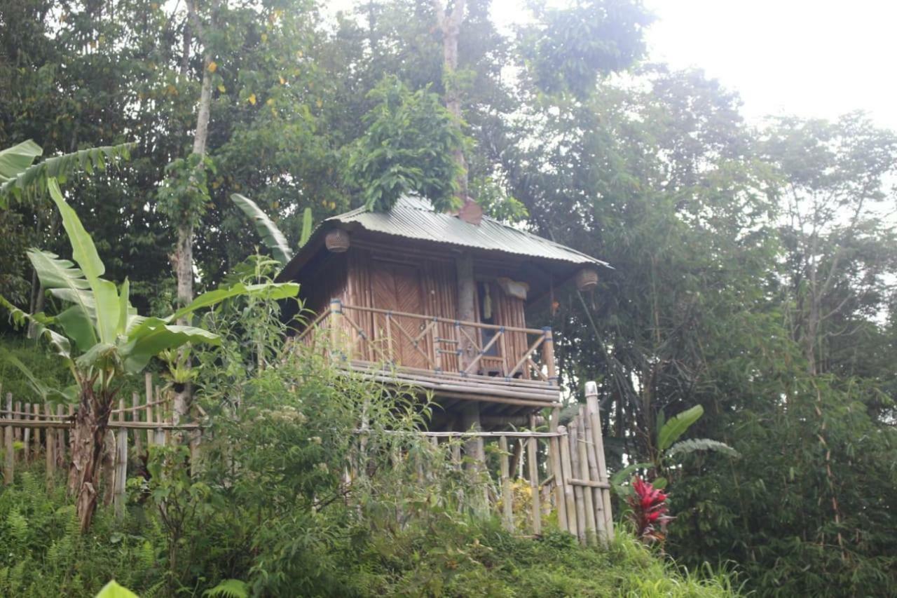 Apartamento Bali Tree House Pelangi Bedugul  Exterior foto