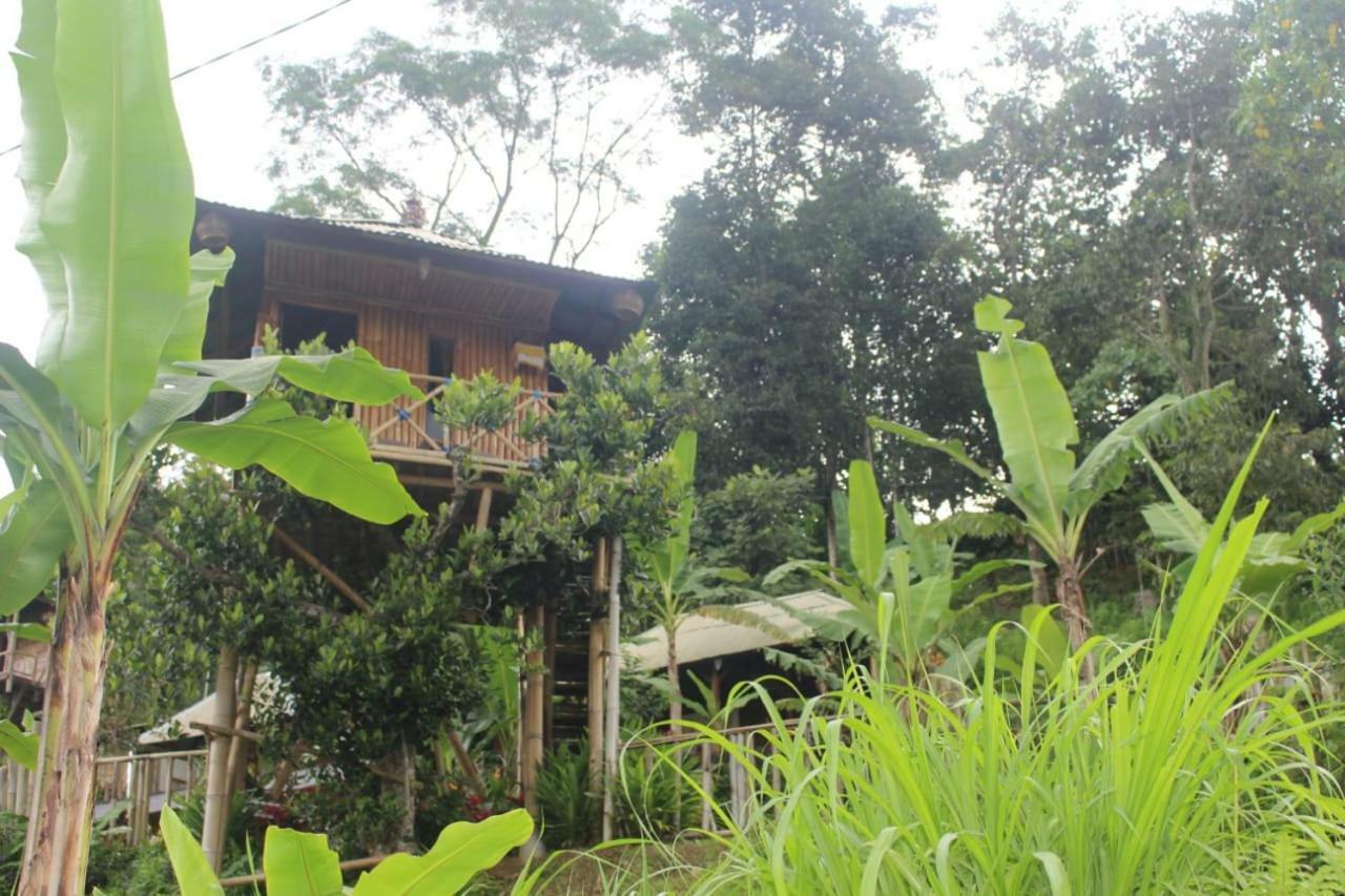 Apartamento Bali Tree House Pelangi Bedugul  Exterior foto