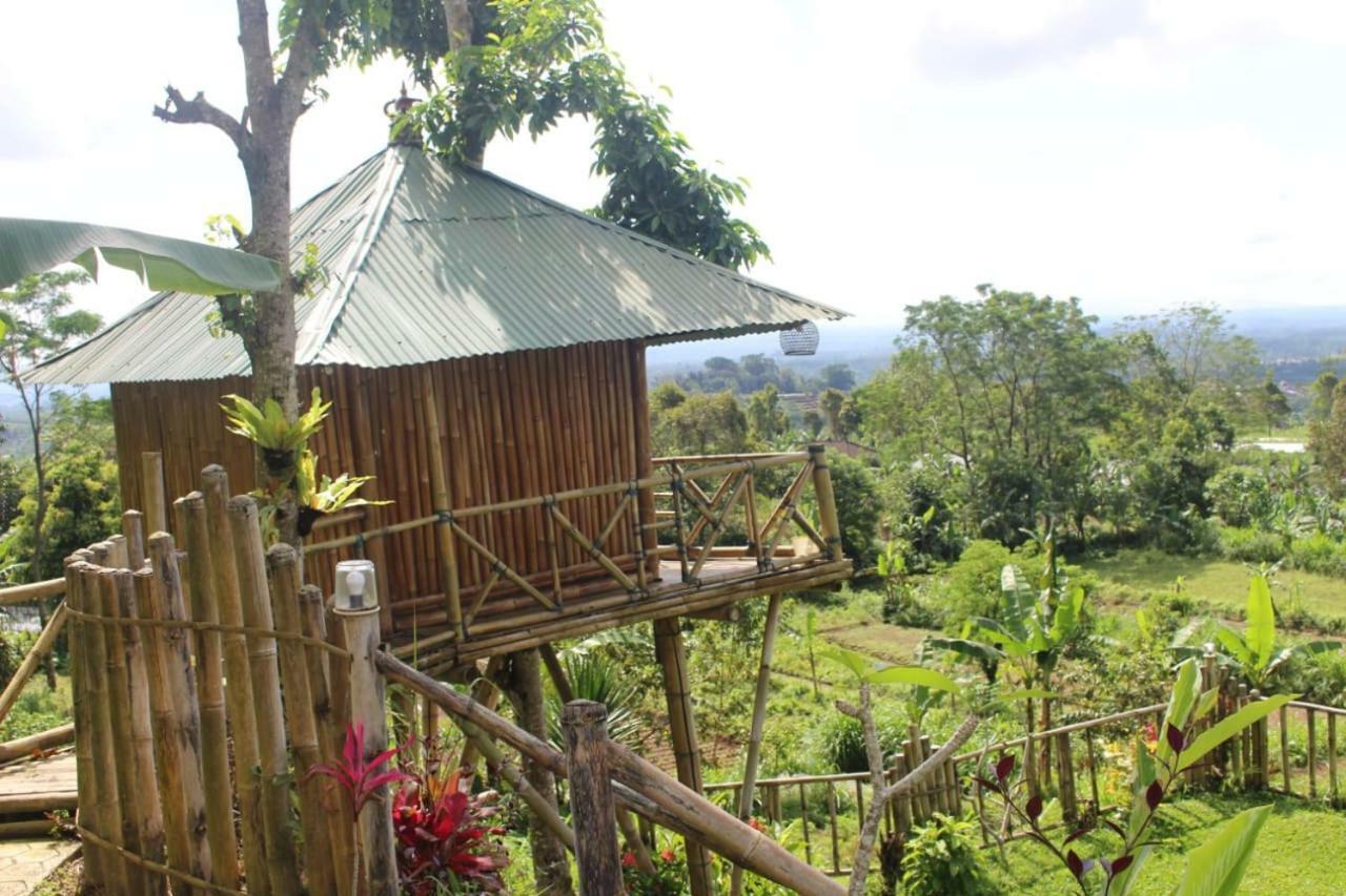 Apartamento Bali Tree House Pelangi Bedugul  Exterior foto