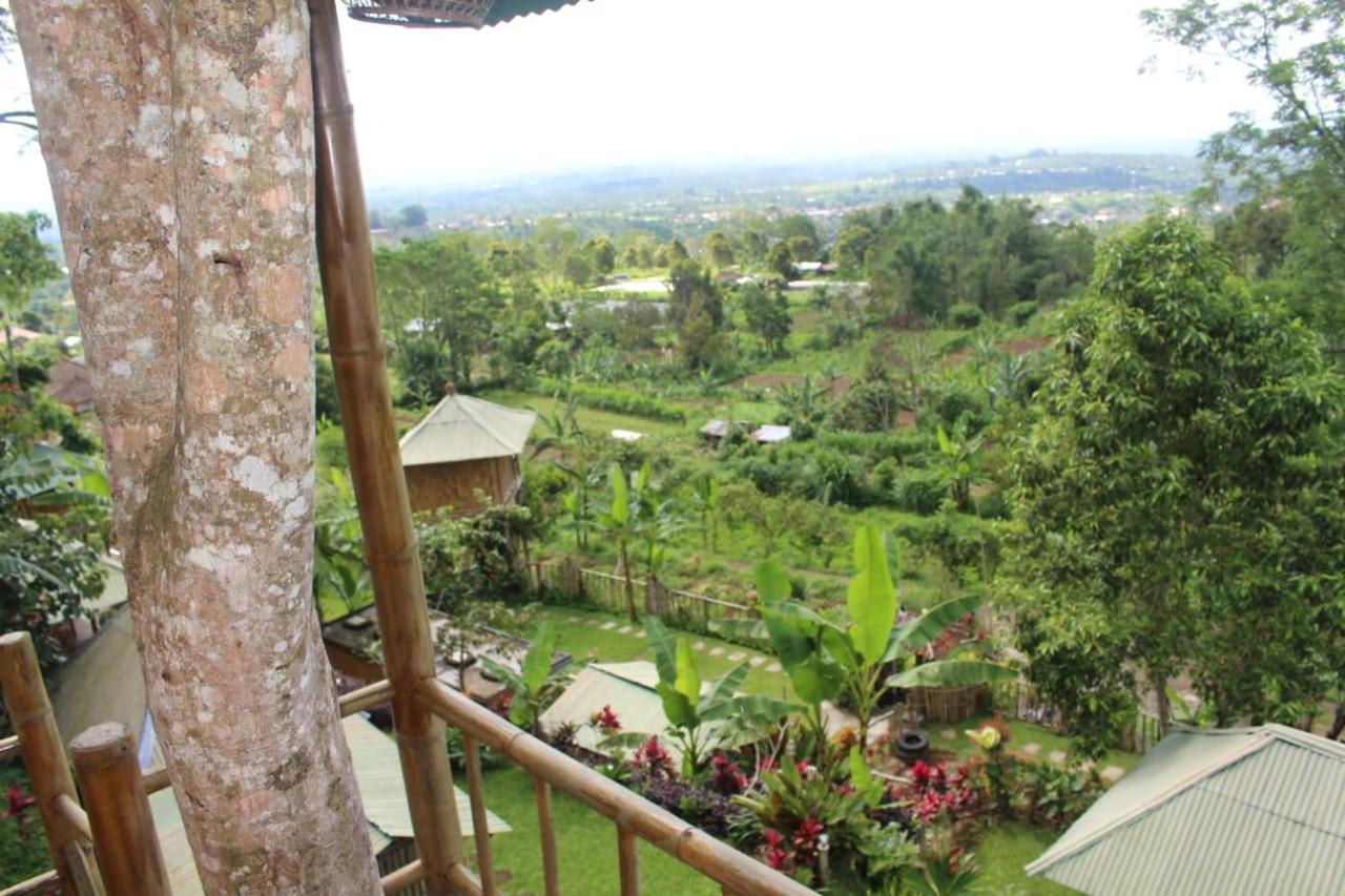 Apartamento Bali Tree House Pelangi Bedugul  Exterior foto