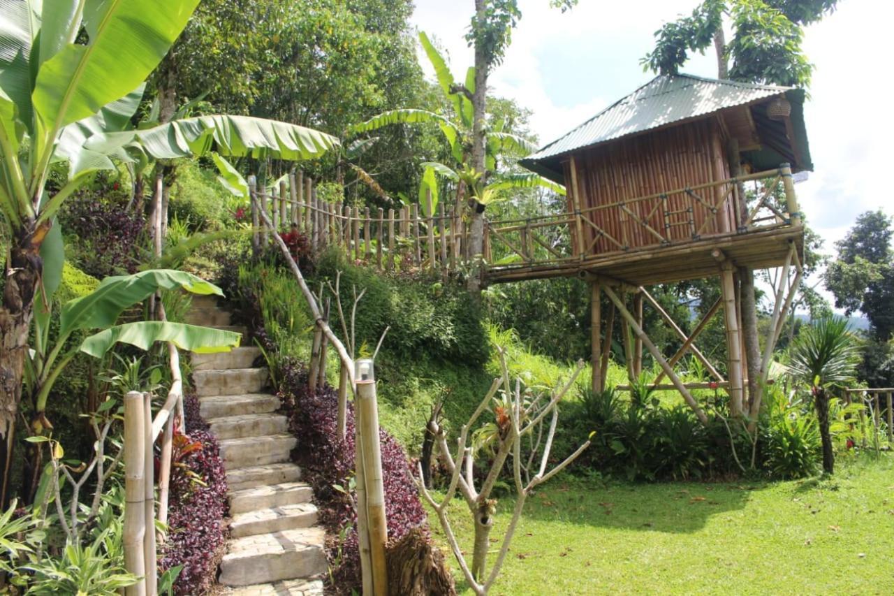 Apartamento Bali Tree House Pelangi Bedugul  Exterior foto