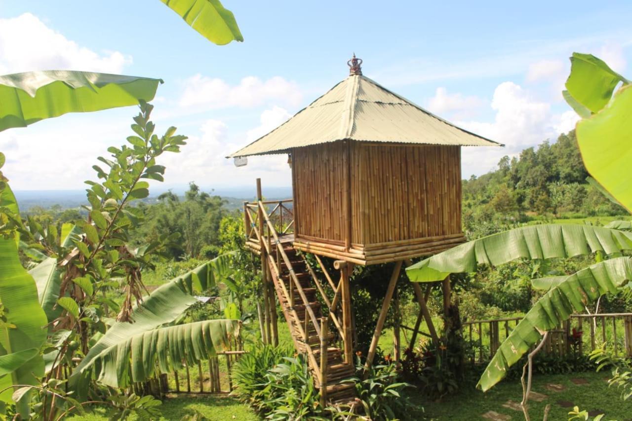 Apartamento Bali Tree House Pelangi Bedugul  Exterior foto