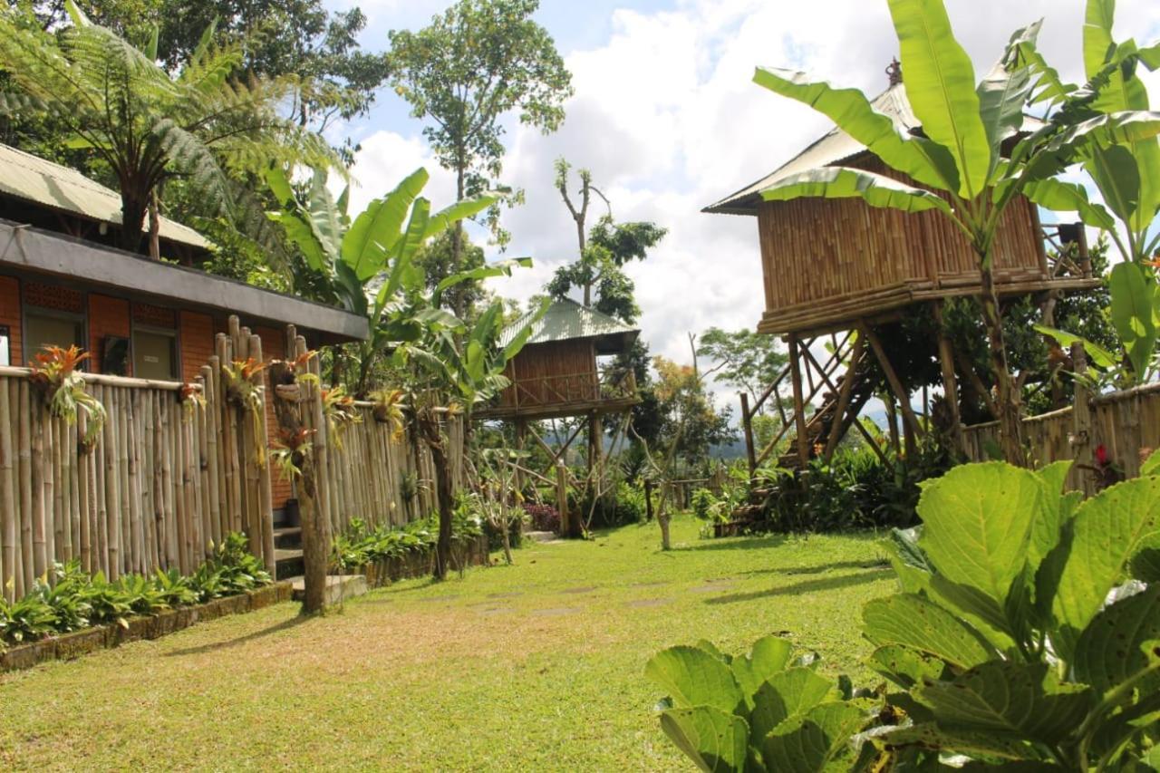 Apartamento Bali Tree House Pelangi Bedugul  Exterior foto
