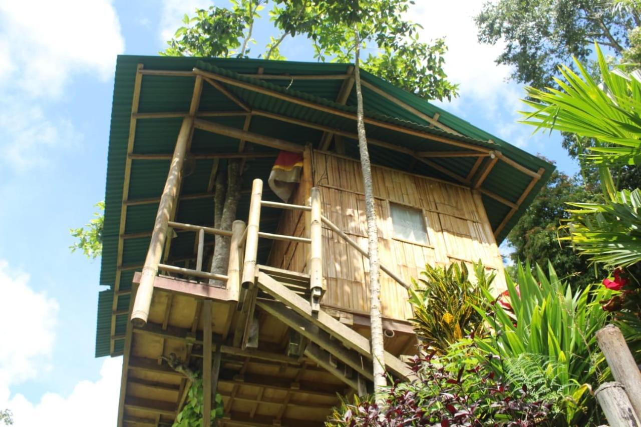 Apartamento Bali Tree House Pelangi Bedugul  Exterior foto