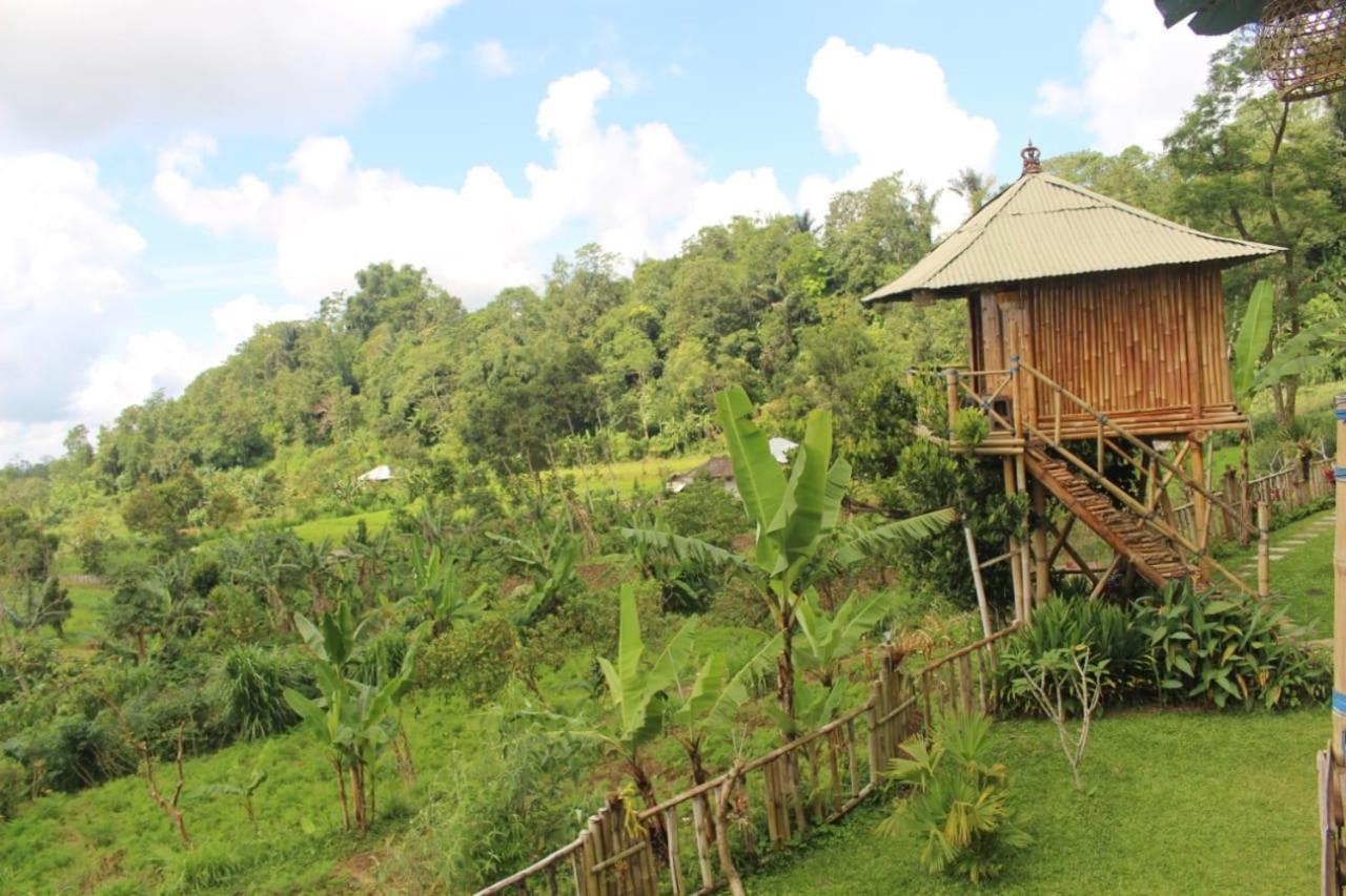 Apartamento Bali Tree House Pelangi Bedugul  Exterior foto