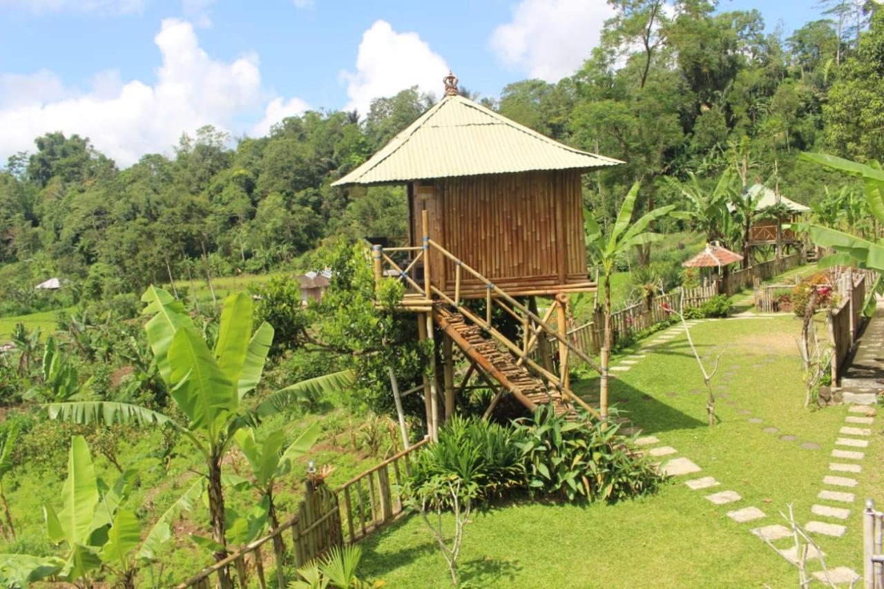 Apartamento Bali Tree House Pelangi Bedugul  Exterior foto