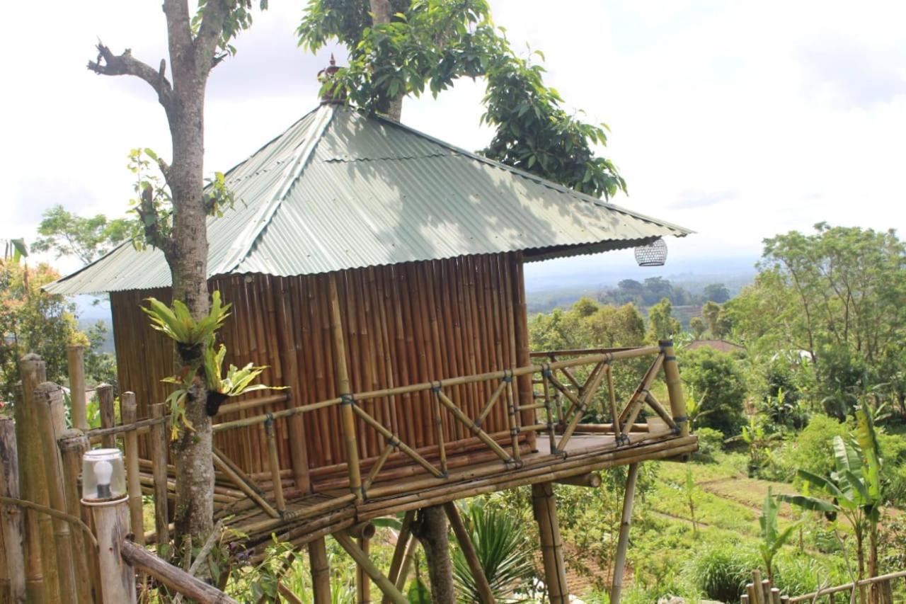 Apartamento Bali Tree House Pelangi Bedugul  Exterior foto