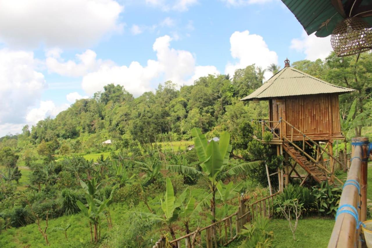 Apartamento Bali Tree House Pelangi Bedugul  Exterior foto